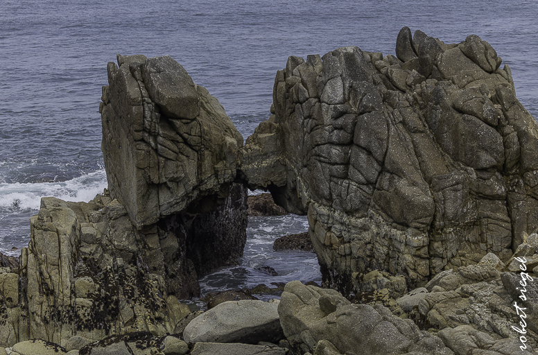 pacificgrove
